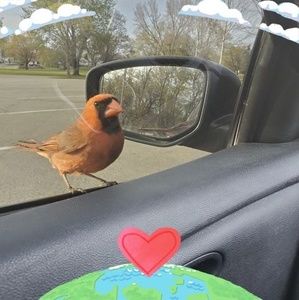 Meet your Posher, Jill